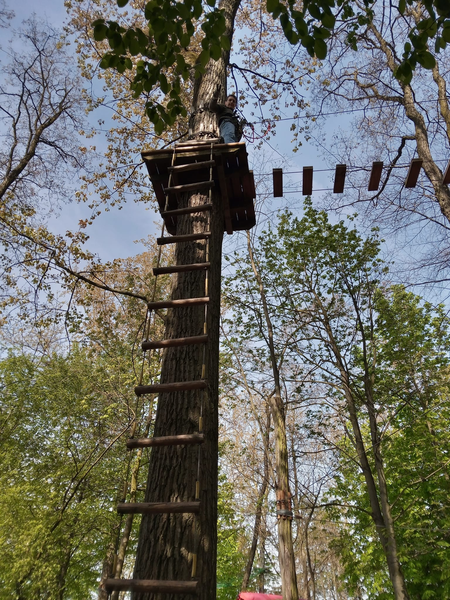 Eine Station im Klettergarten