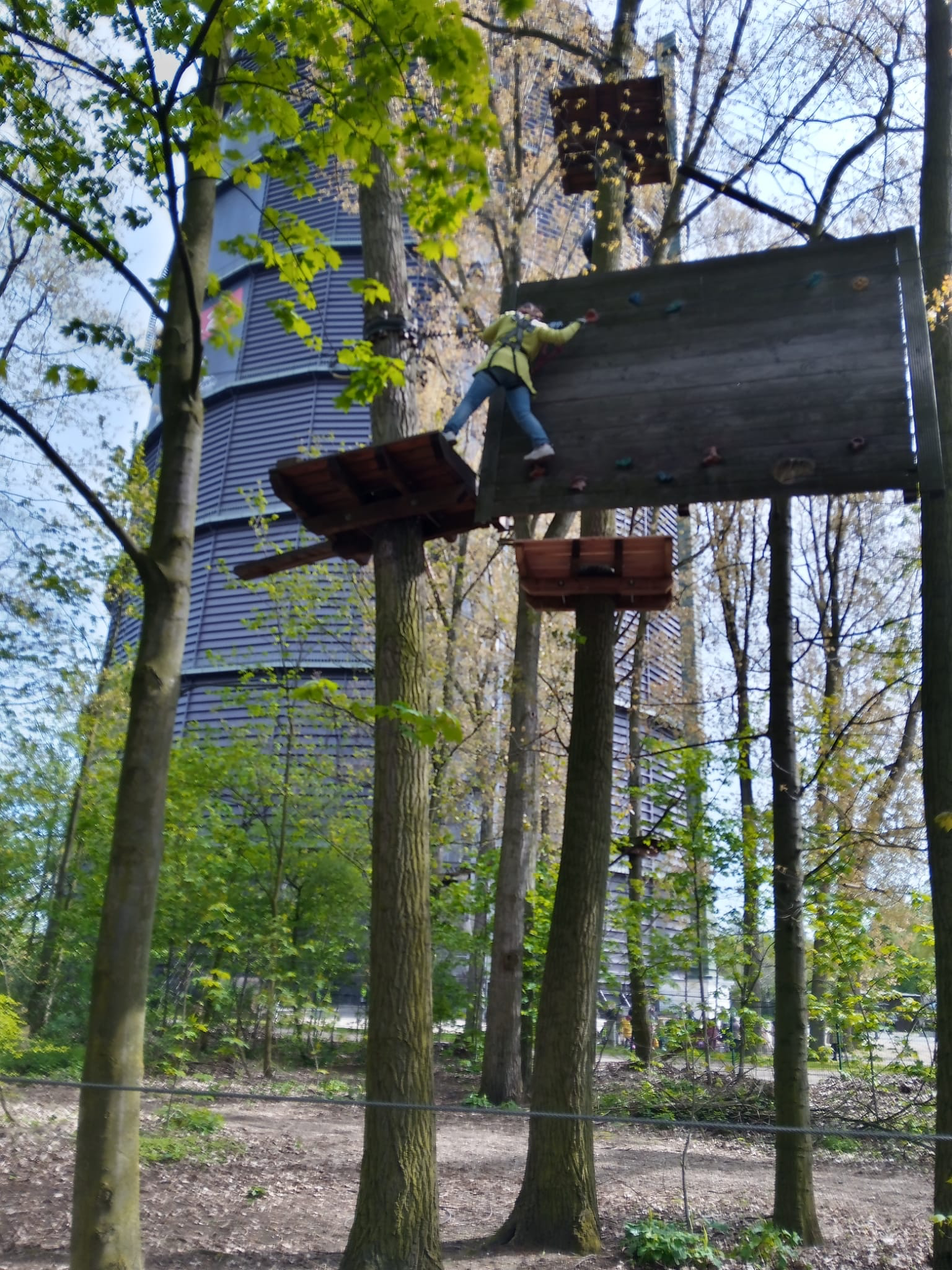 Eine weitere Station im Klettergarten